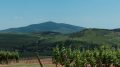tokaj