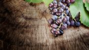 stockfresh 1856201 grapes background sizeS