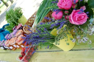 Badacsonyi Céh Turisztikai Egyesület - Tourinform iroda