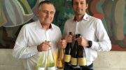 Varga Péter és Varga Máté berlini és párizsi díjnyertes borok