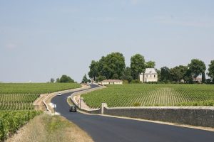 Az évszázad kezdete óta a legkevesebb bor készülhet az idén Franciaországban