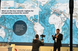Vulkanikus borok a Hungarian Wine Summit nyitónapján