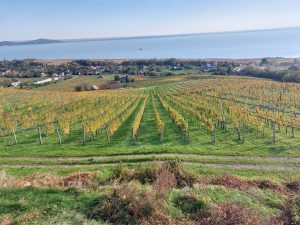 IV. Ősszel is Balaton