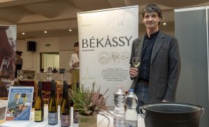 Békássy Pincészet, Badacsony