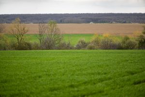 Idén is frissültek az Agro-ökológiai Program készítménylistái