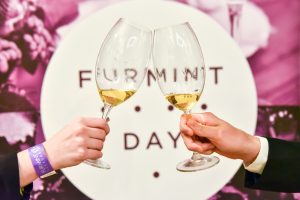 Dűlők, furmintok, történetek –jön a 16. Furmint Február Nagykóstoló