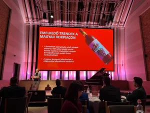 Borkonferencia: az élmény nyomában 2.