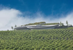 Borkonferencia 2026  Építészet és borászat