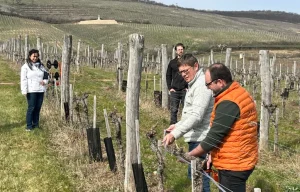 Bemutatkozik a Frohlight Magyarországon