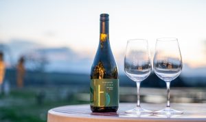 Mit igyunk nyáron? – A Sauvignon Blanc, ami minden helyzetben működik