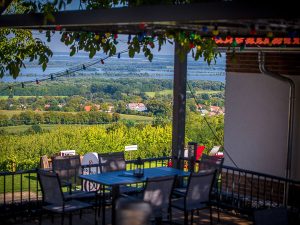 Új irányt keresnek a borászatok a Kis-Balatonnál a fiatalok elérésére