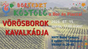 Bortesztkóstoló – vörösborok kavalkádja